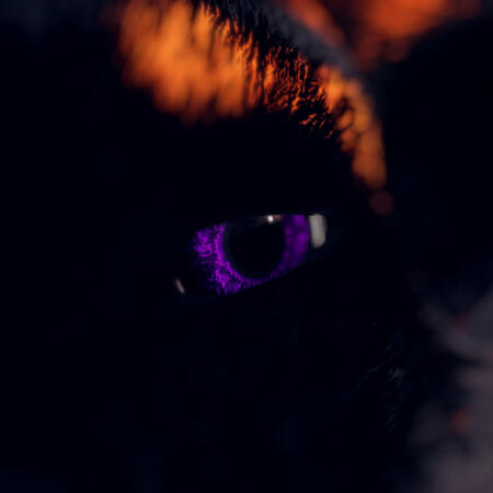 Beautiful, custom and unique eye textures.
